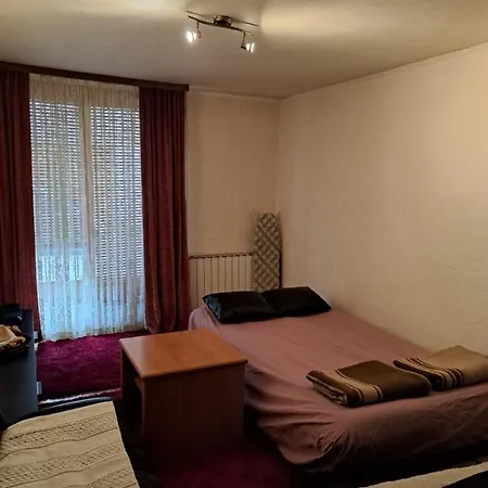 Apartment Bistrik/stan Na Dan *